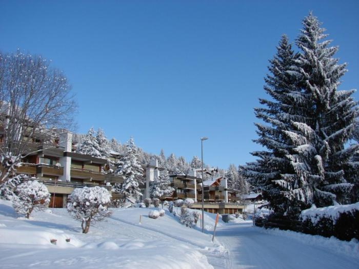 Roc D'Orsay E52 Διαμέρισμα Leysin Εξωτερικό φωτογραφία